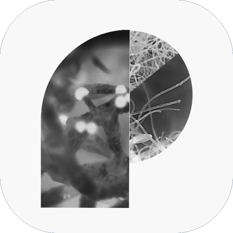 A collage of black-and-white images representing neurons and cells, arranged in the shape of a "P"