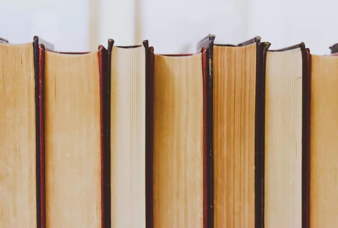 Books lined up, photographed from the back