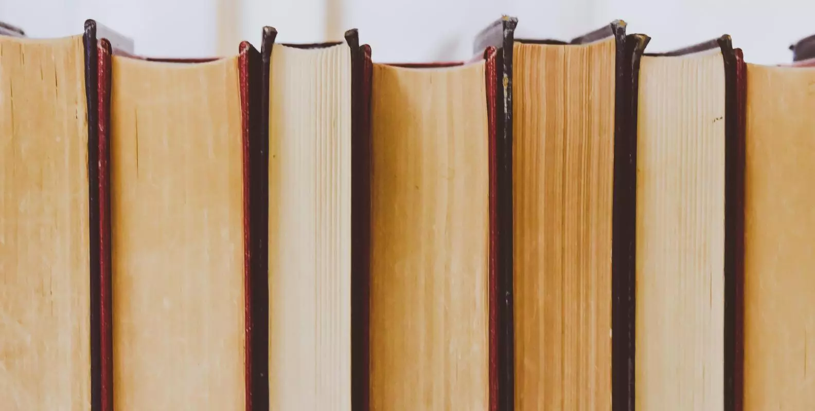 Books lined up, photographed from the back